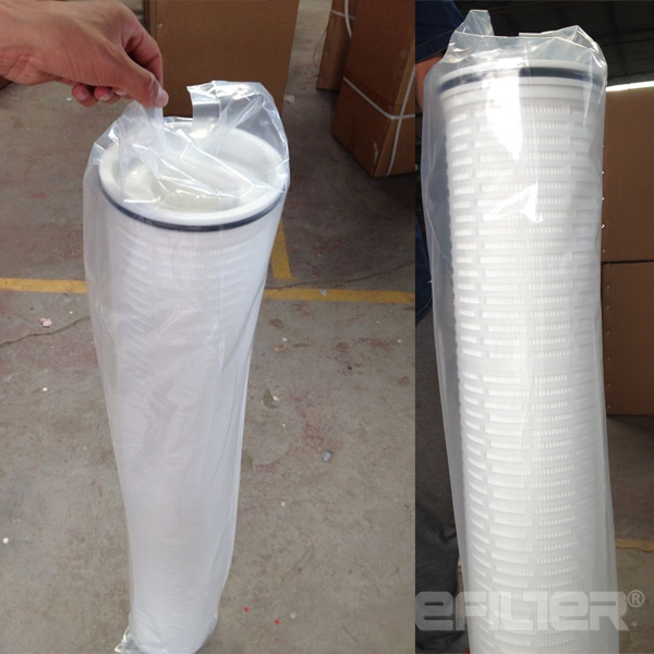 Pall High Flow water filter element