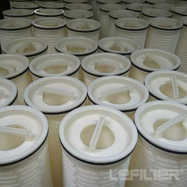 Pall High Flow water filter element