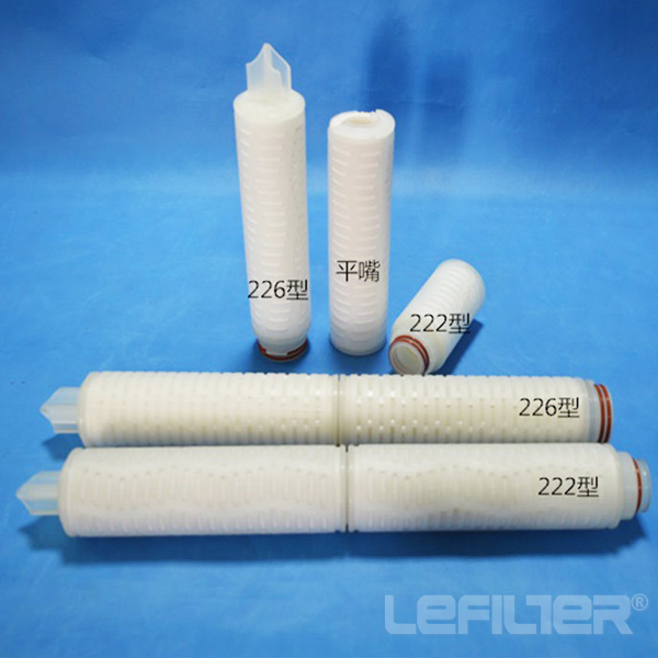 10＂ Polyether sulfone microporous folding filter/ filter PE